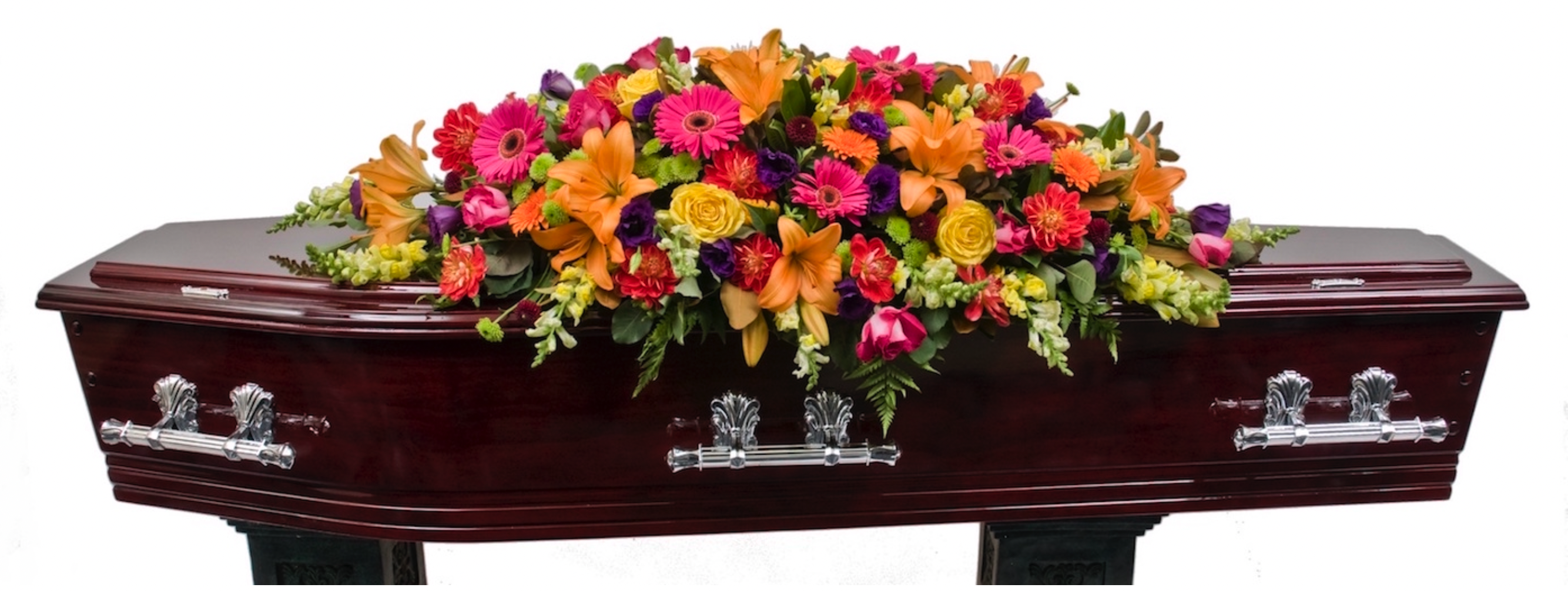 Screenshot 2022-08-23 at 19.55.41